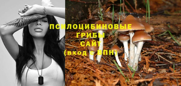 тгк Алексин