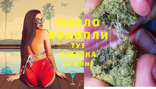 прущие грибы Вяземский