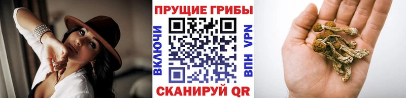 Галлюциногенные грибы GOLDEN TEACHER Тимашёвск